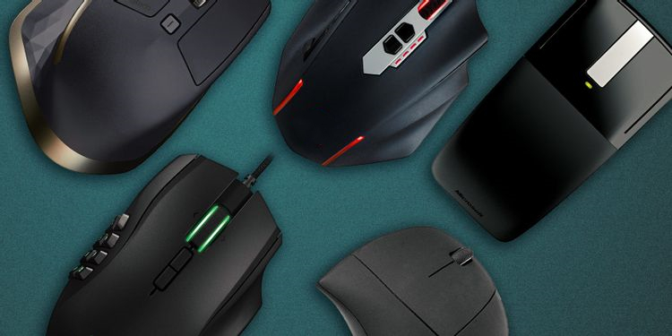 How to Select a Mouse